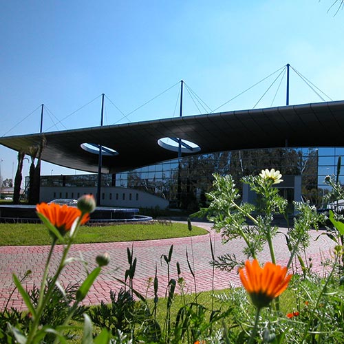 sample image